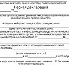 Декларация лесного участка. Лесная декларация. Лесная декларация пример. Лесная декларация образец. Лесная декларация пример заполнения.